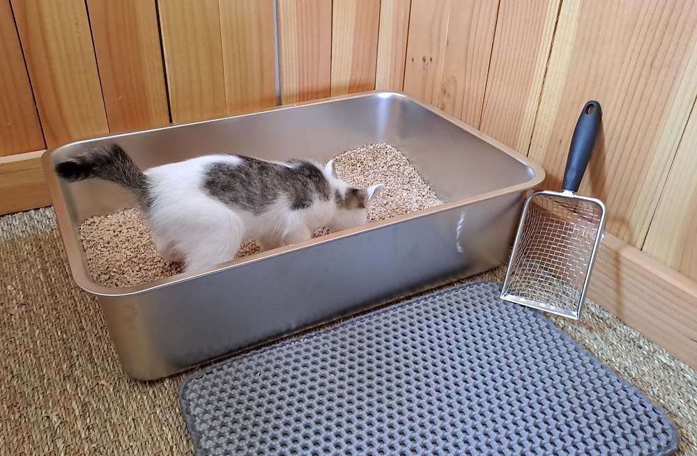 marque MeoWant
