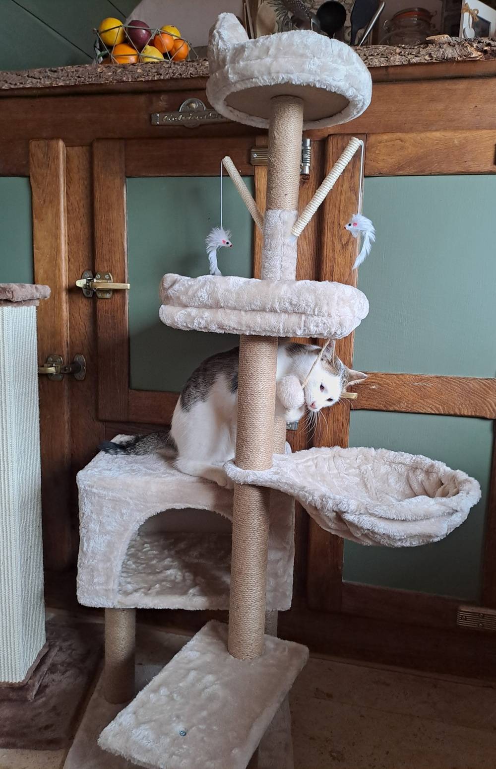 Arbre à chat de 145 cm, fausse fourrure, plusieurs perchoirs et jeux