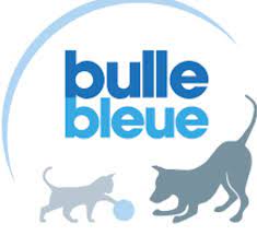 Bulle Bleue logo