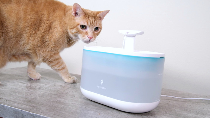 Fontaine automatique Petlibro Capsule pour animaux
