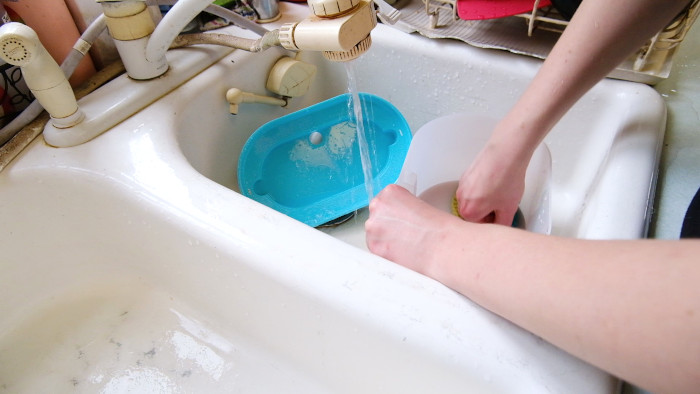 Fontaine automatique Petlibro Capsule pour animaux