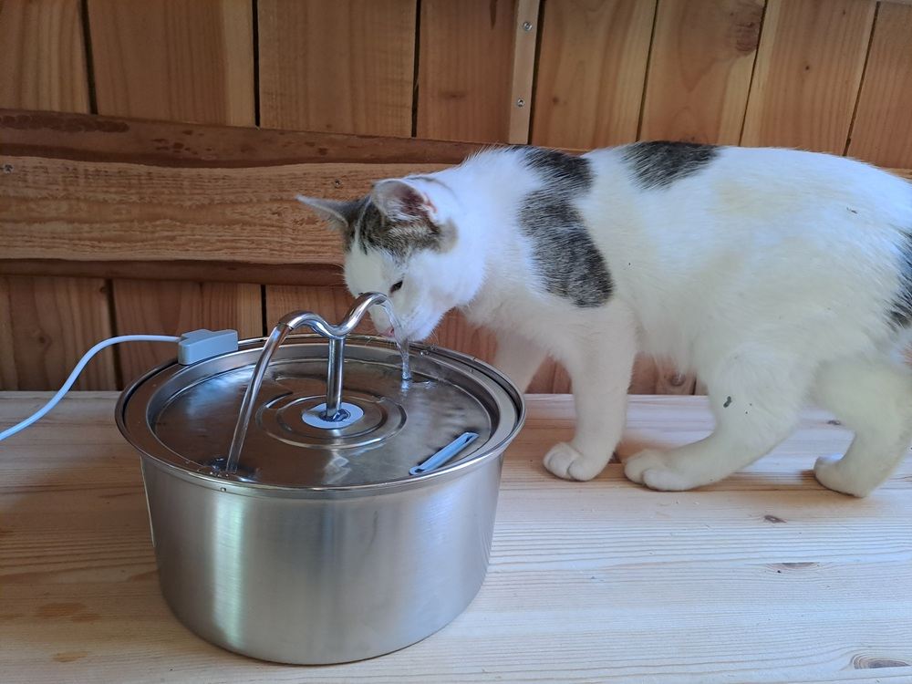 DOOOB Cat Water Fountain