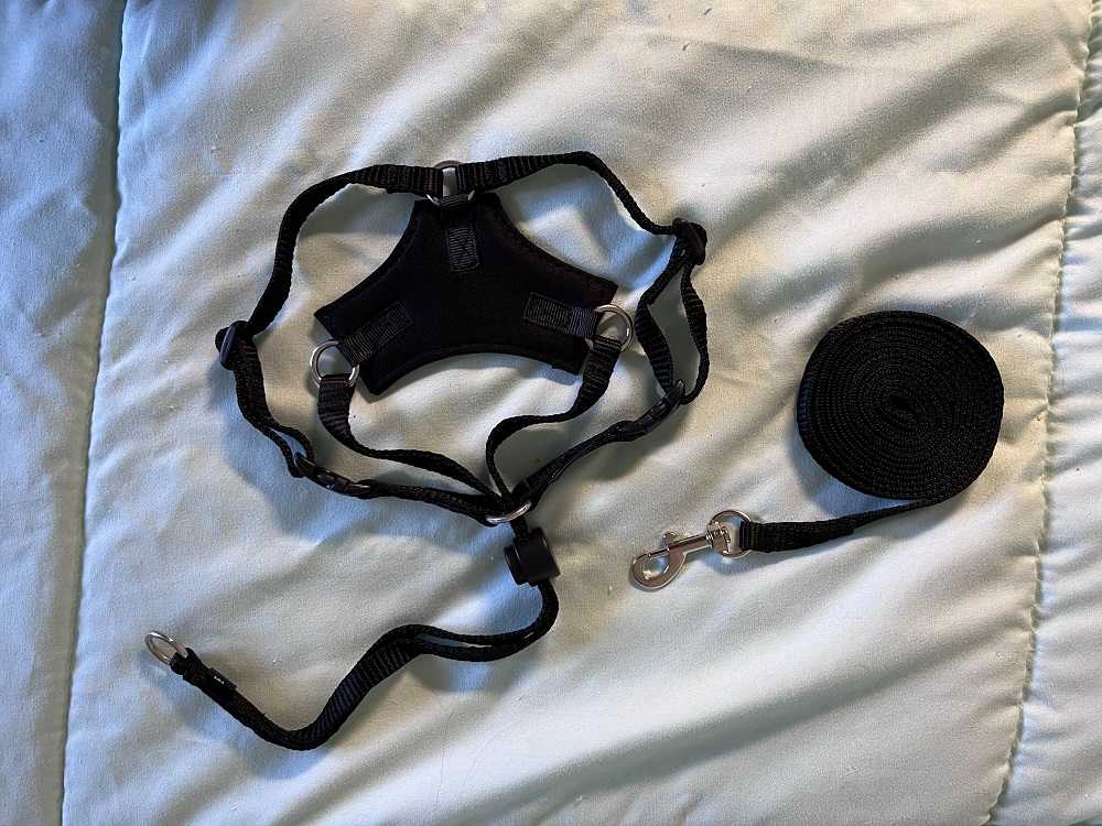 Houdini-Escape-Resistant-Cat-Harness-and-Leash-2