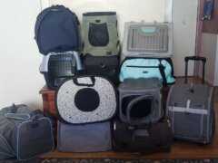 meilleures cages de transport pour chats