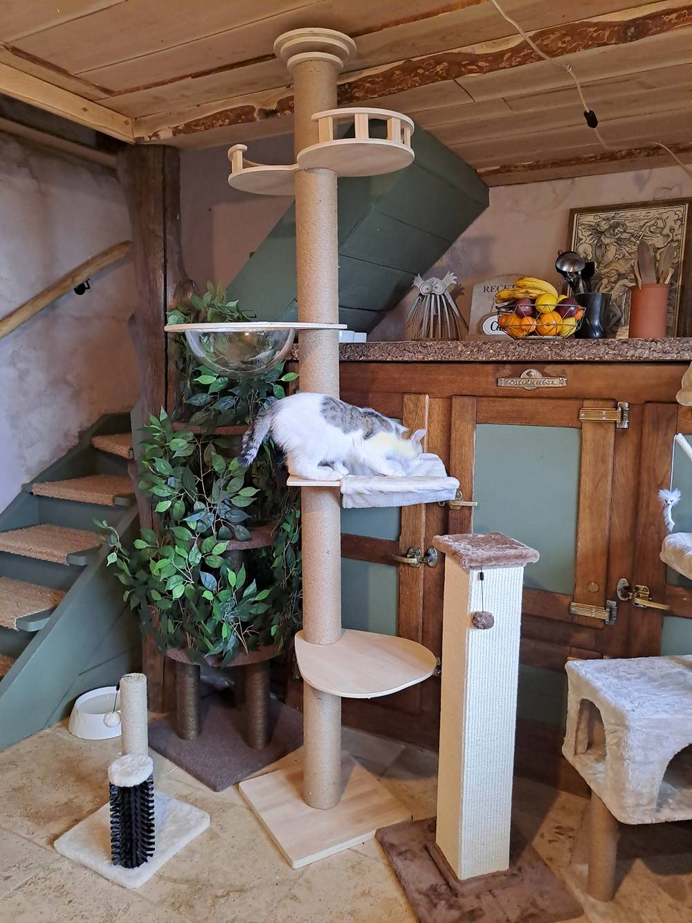 Mekidulu Arbre à chat avec tendeur de plafond