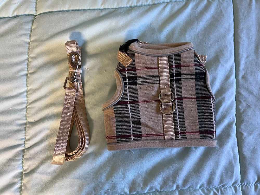 Harnais-gilet pour chat PUPTECK en maille douce