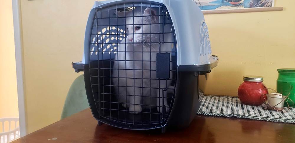 Cage pour animaux Petmate à deux portes et chargement par le haut