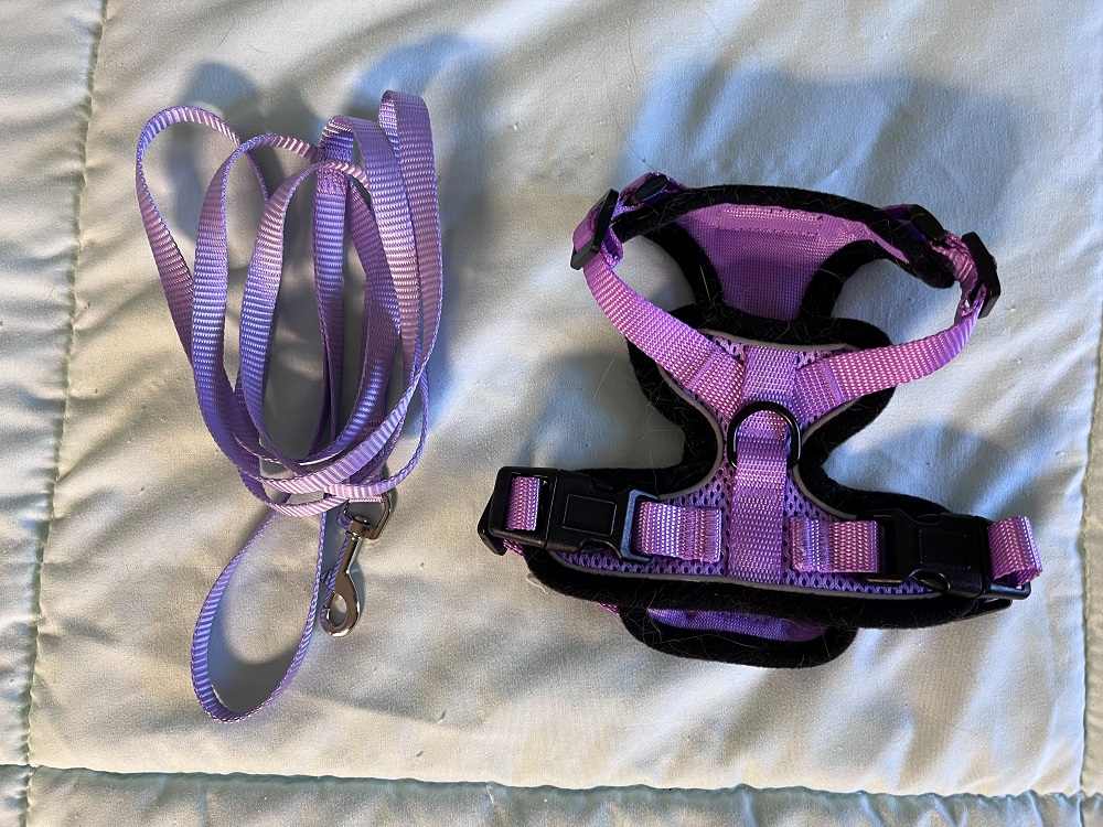 Rabbitgoo Cat Harness and Leash