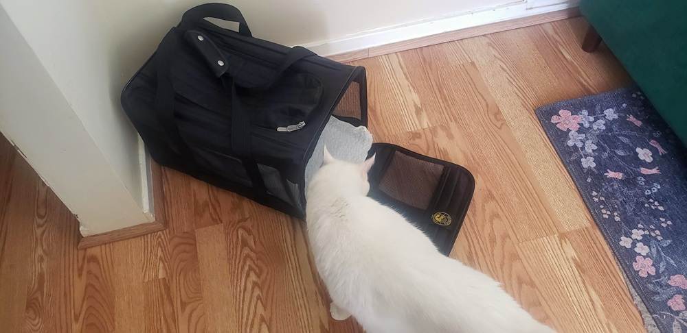 Sac de transport pour animaux Sherpa Travel Original Deluxe, homologué pour le transport aérien