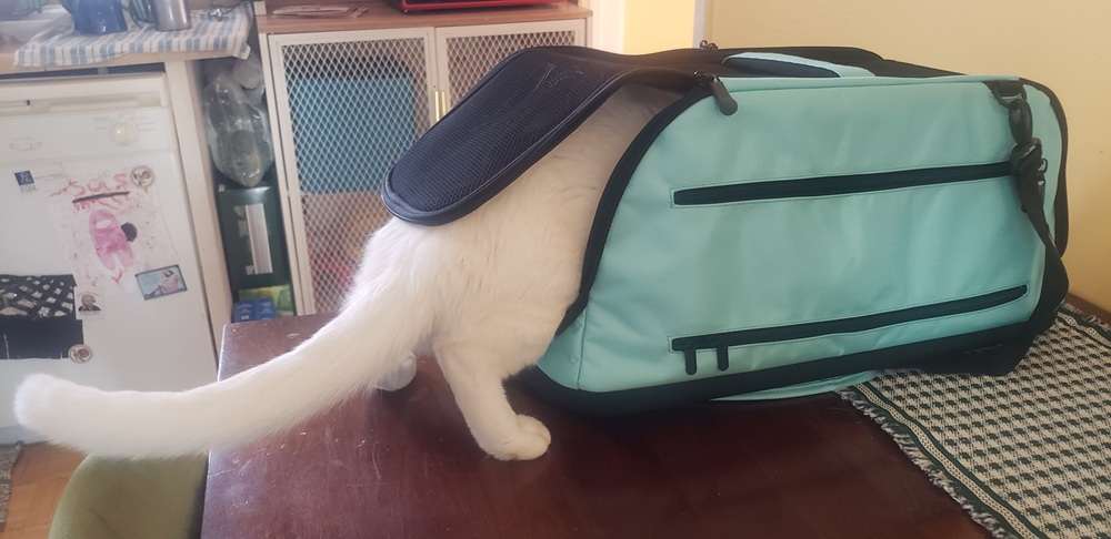 Sleepypod Air, cage de transport pour animaux de compagnie