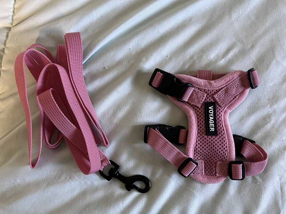 Voyager Step-In Adjustable Cat Harness