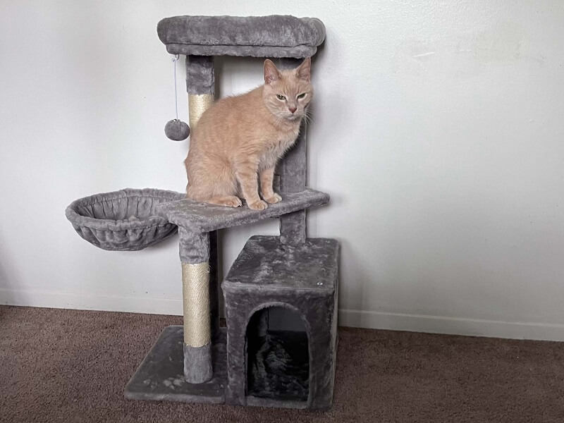Arbre à chat Yaheetech 34,5 pouces avec revêtement en peluche